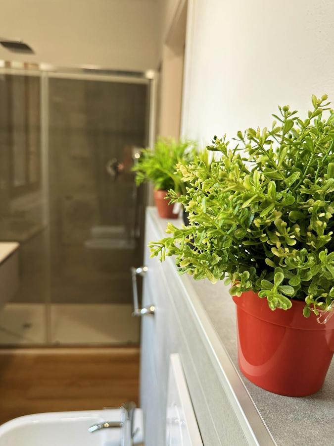 In Mezzo All'Aria Apartment Mezzolara Zewnętrze zdjęcie