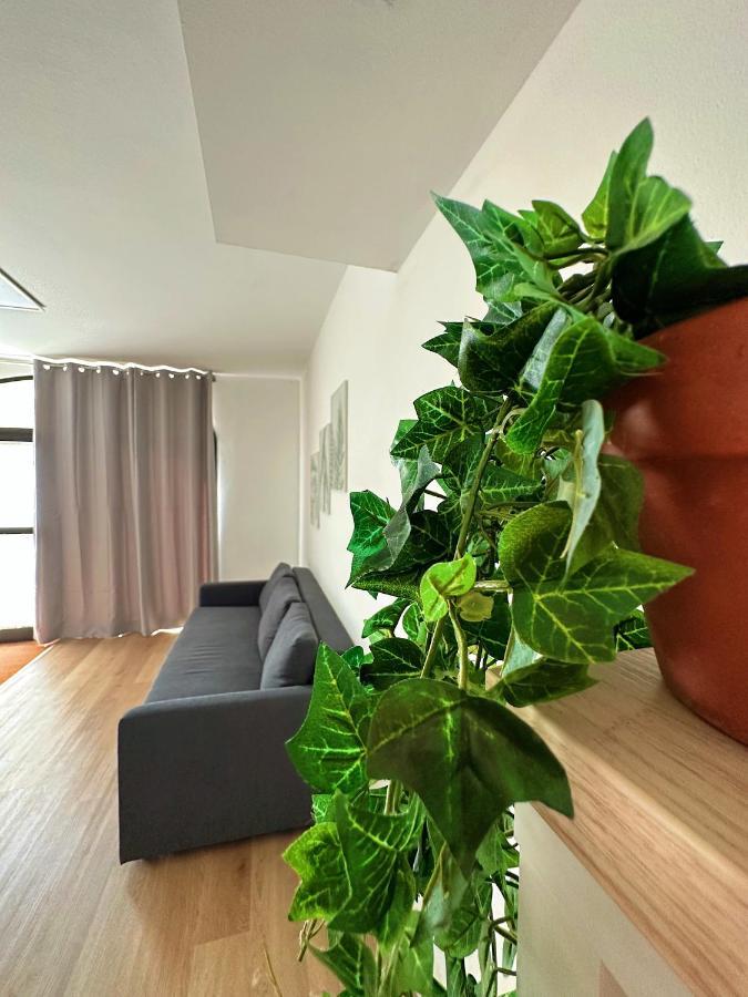 In Mezzo All'Aria Apartment Mezzolara Zewnętrze zdjęcie